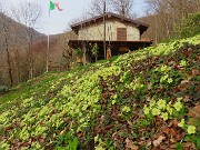 Festa di fiori sui sentieri per il Monte Ubione-6 marzo 2026-FOTOGALLERY